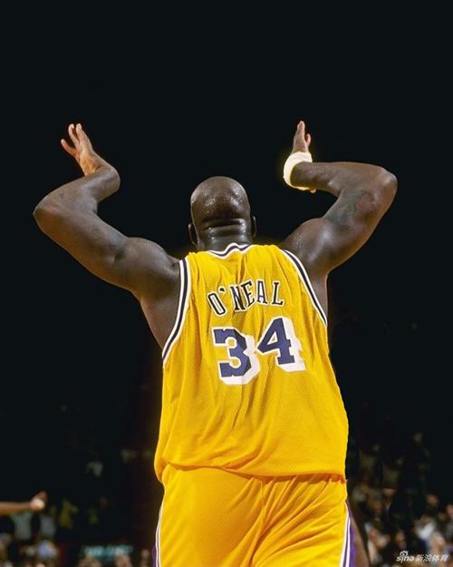 哈兰德：对多纳鲁马只有赞美之词；来意大利踢球？还没考虑过（哈兰德：多纳鲁马值得盛赞，去意大利踢球暂未考虑）